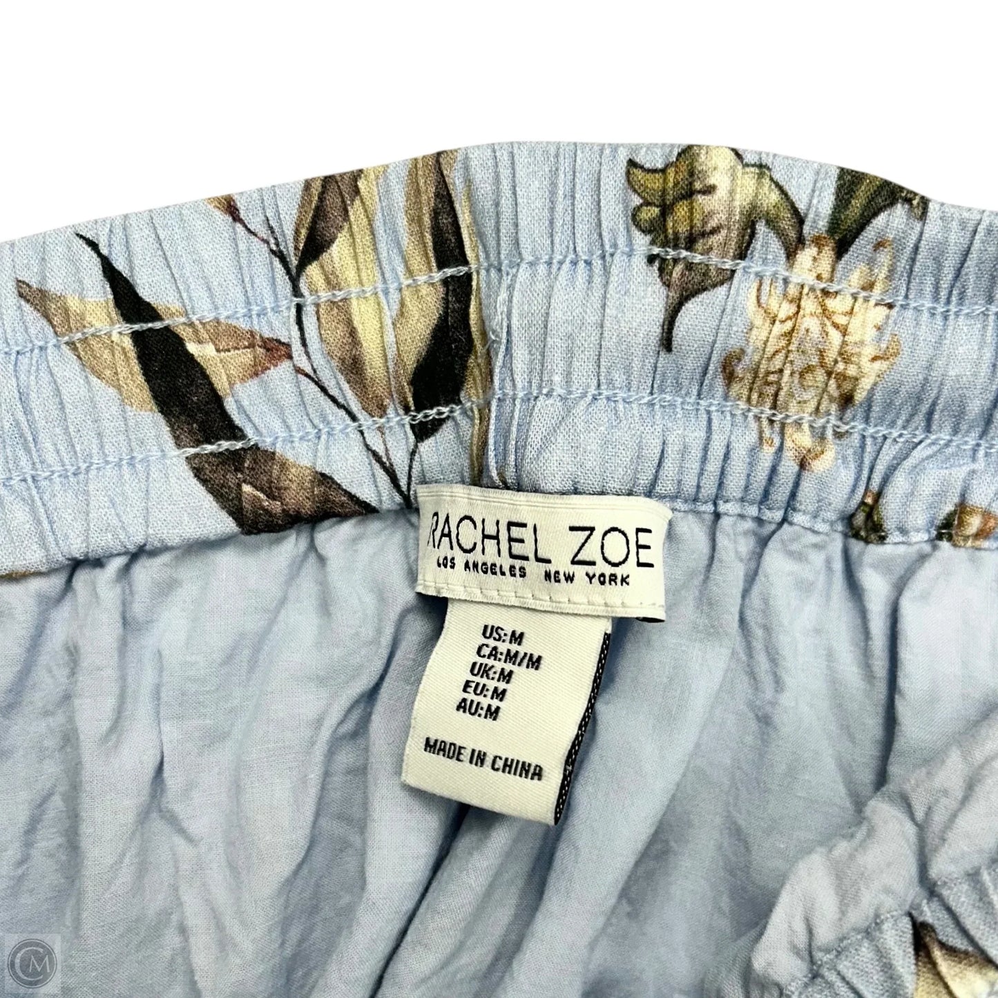 Skirt Maxi By Rachel Zoe In Blue & Tan, Size: M