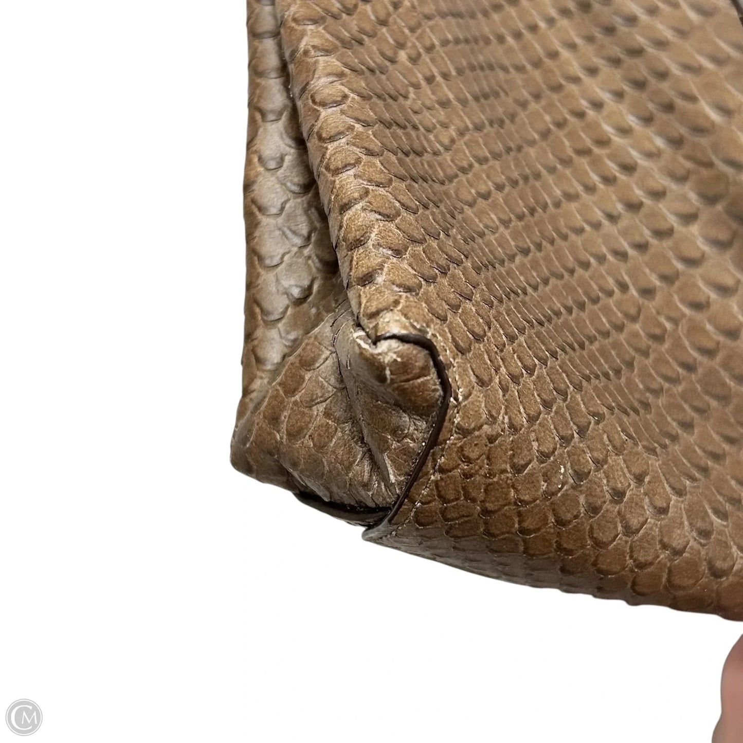 Wristlet Designer By Coach, Size: Medium