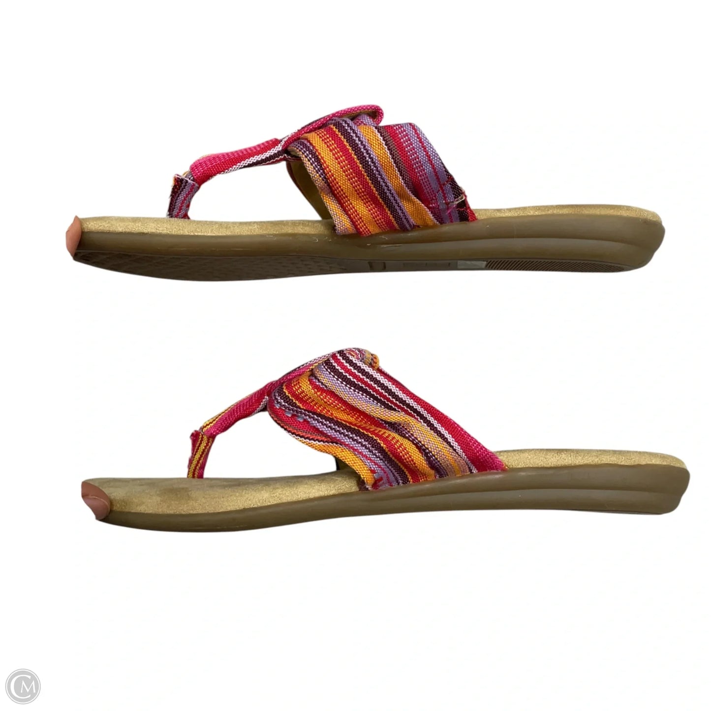 Sandals Flip Flops By Aerosoles In Pink & Purple, Size: 7.5