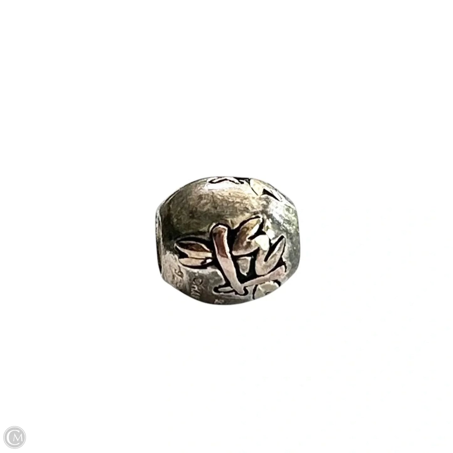 Jewelry Charm By Chamilia