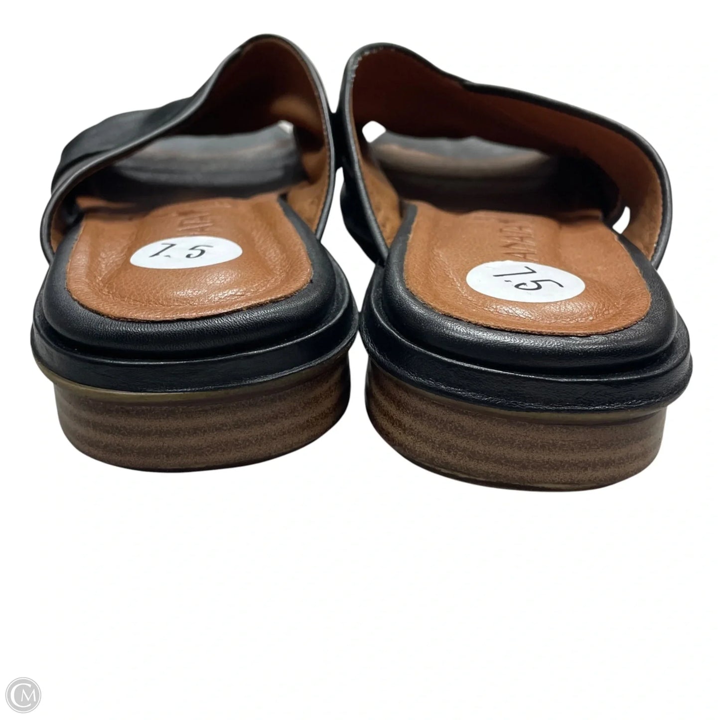 Sandals Flats By Sanata In Black, Size: 7.5