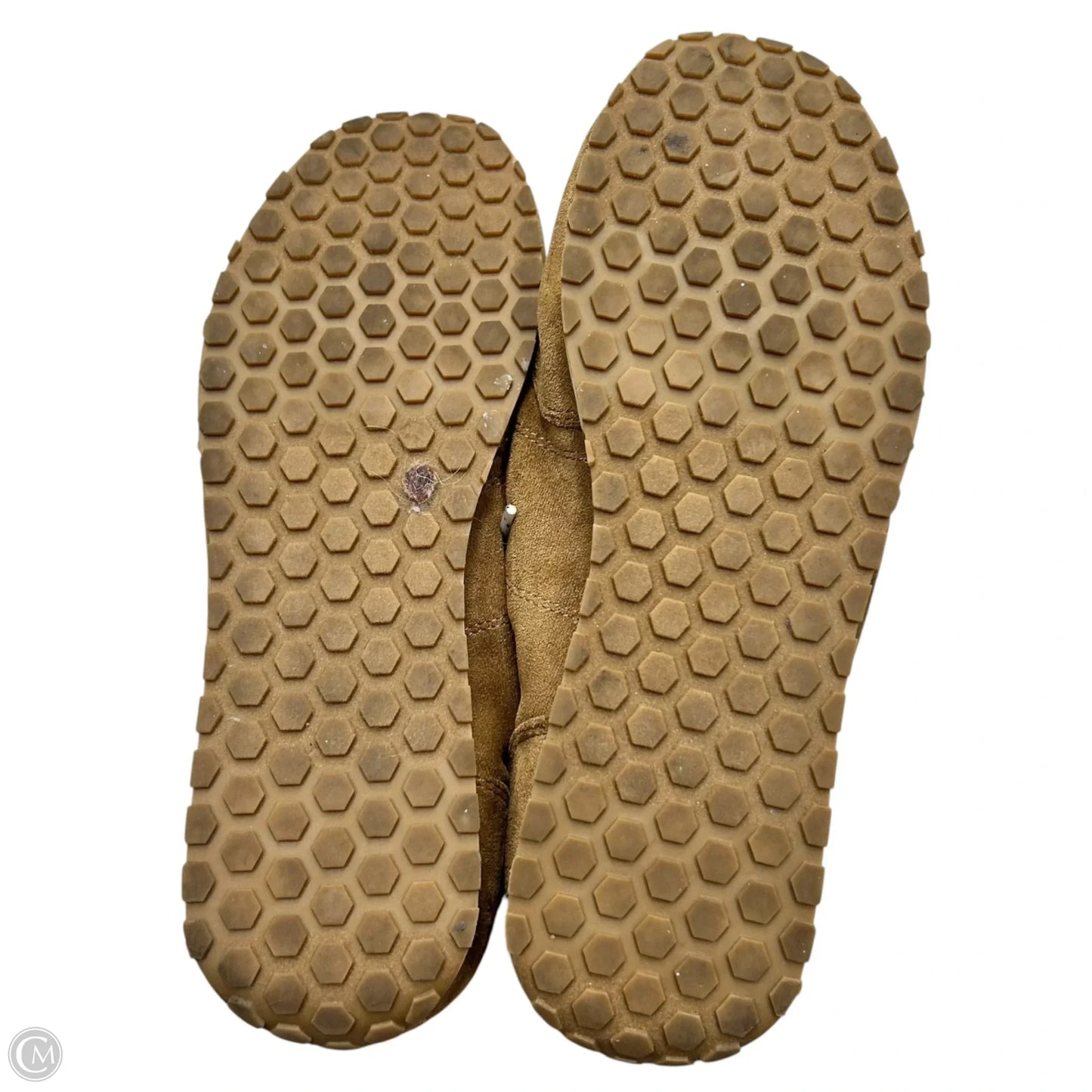 Shoes Sneakers By Madden Girl In Brown, Size: 9.5