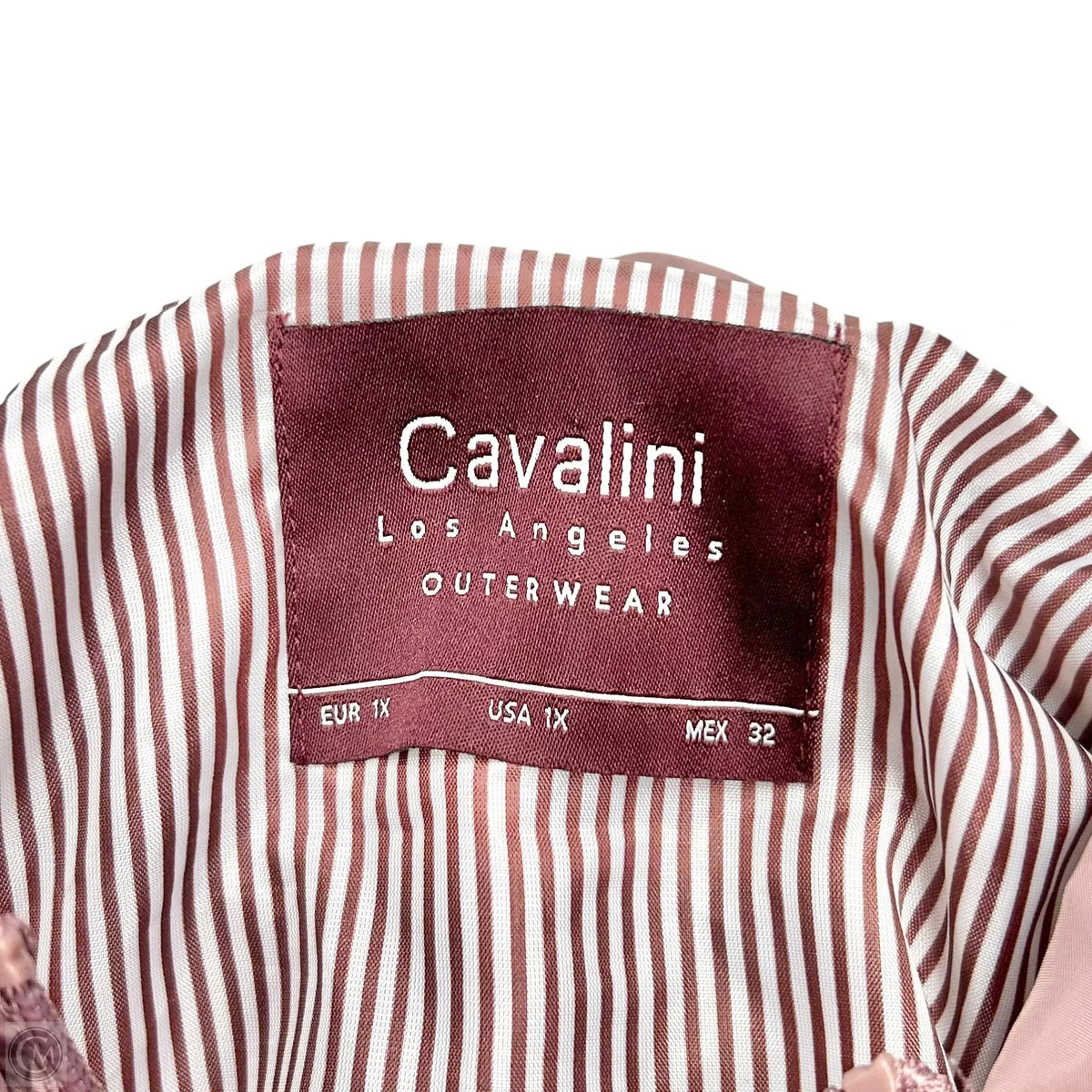 Coat Raincoat By Cavalini In Mauve, Size: 1x