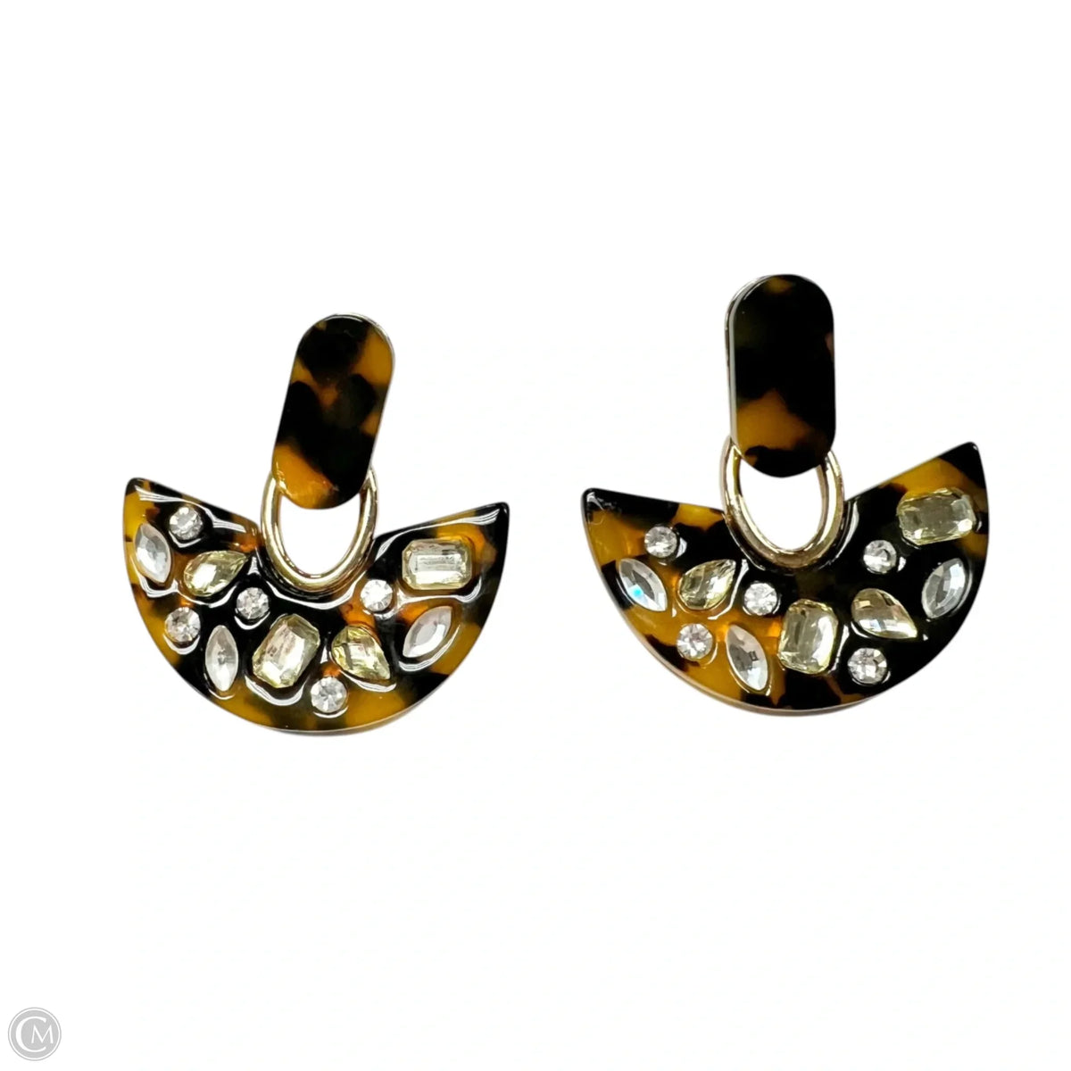 Earrings Dangle/drop