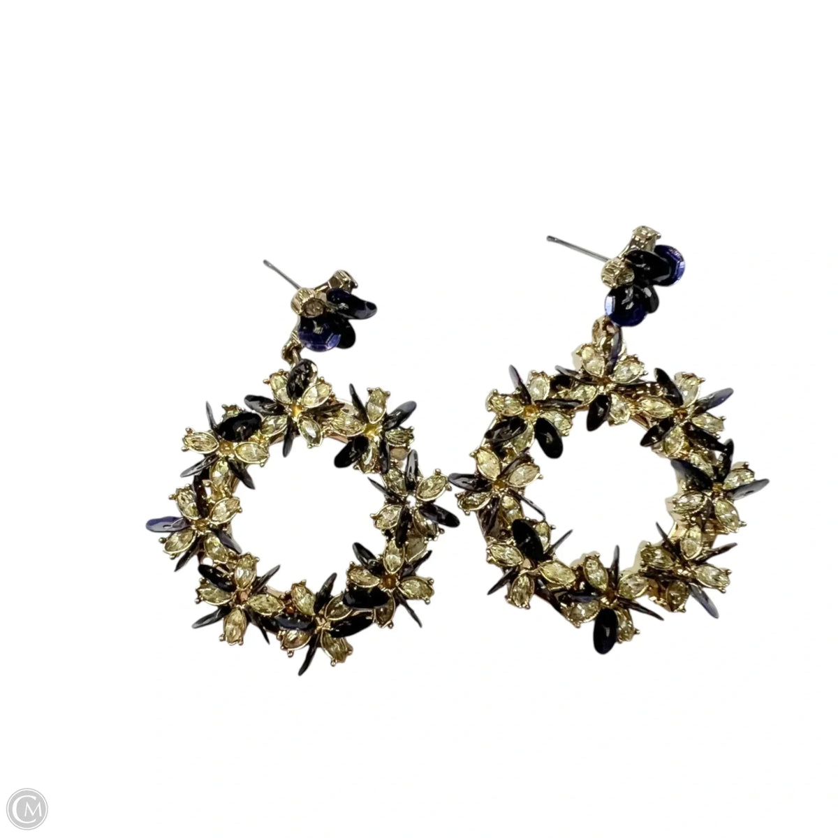Earrings Dangle/drop