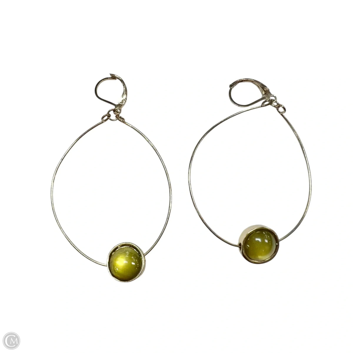 Earrings Dangle/drop