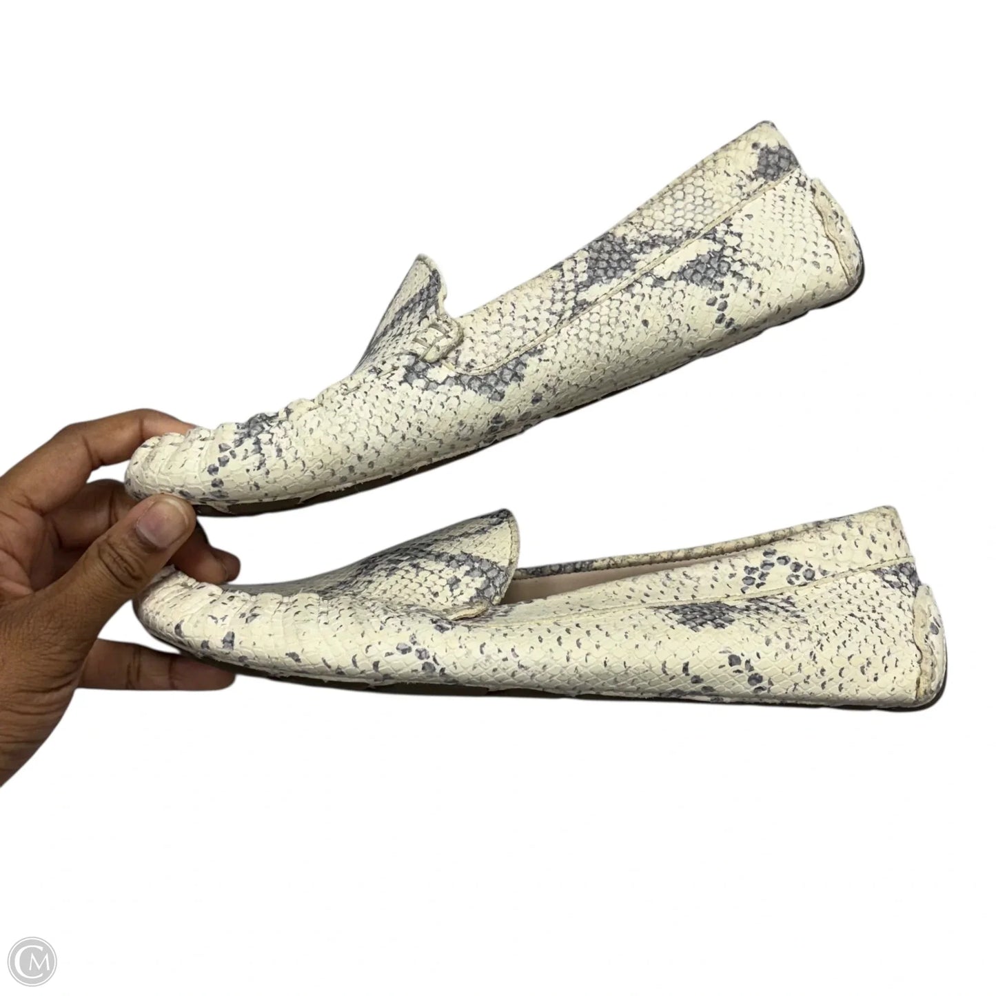 Shoes Flats By Cole-haan In Snakeskin Print, Size: 6