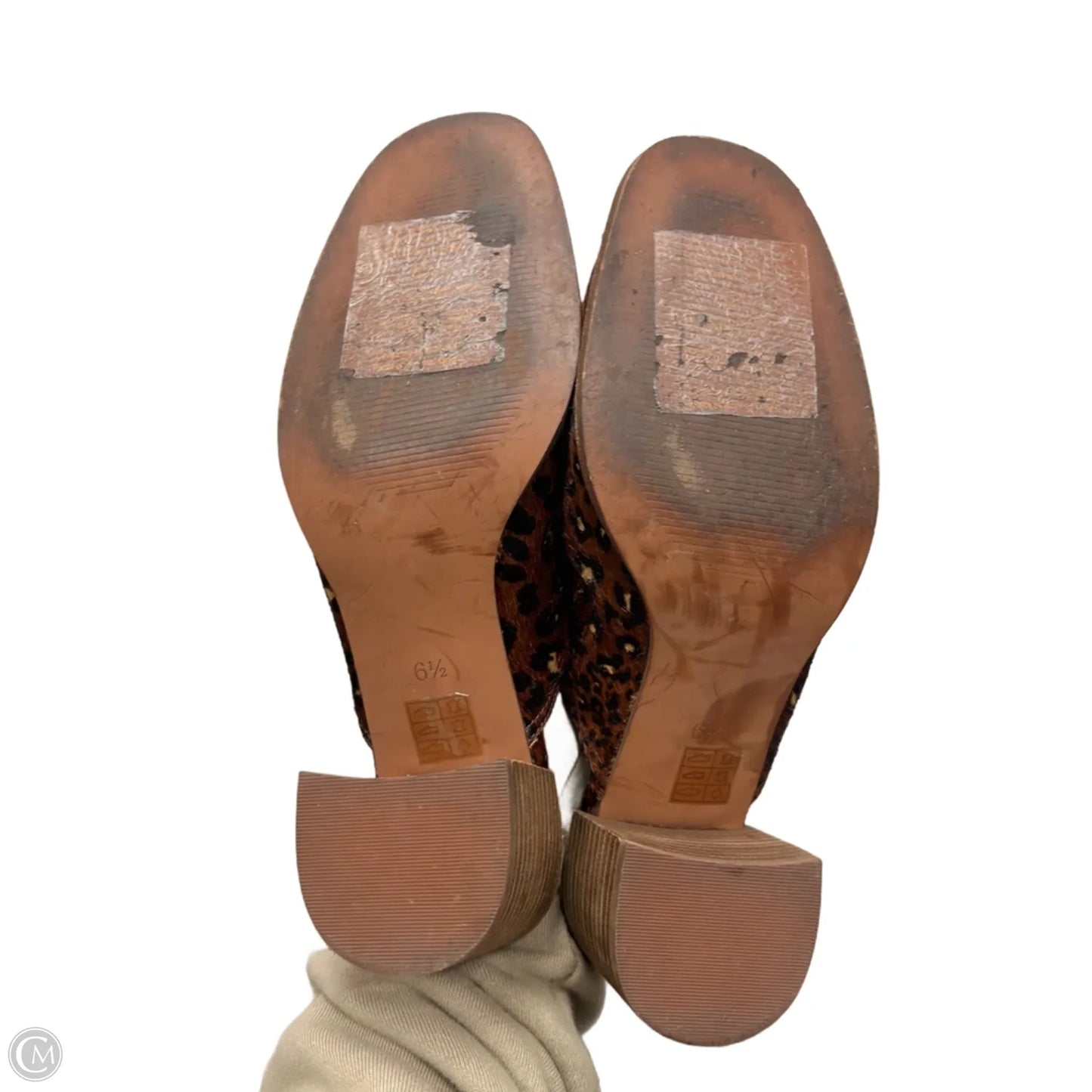 Shoes Heels Block By Madewell In Leopard Print, Size: 6.5