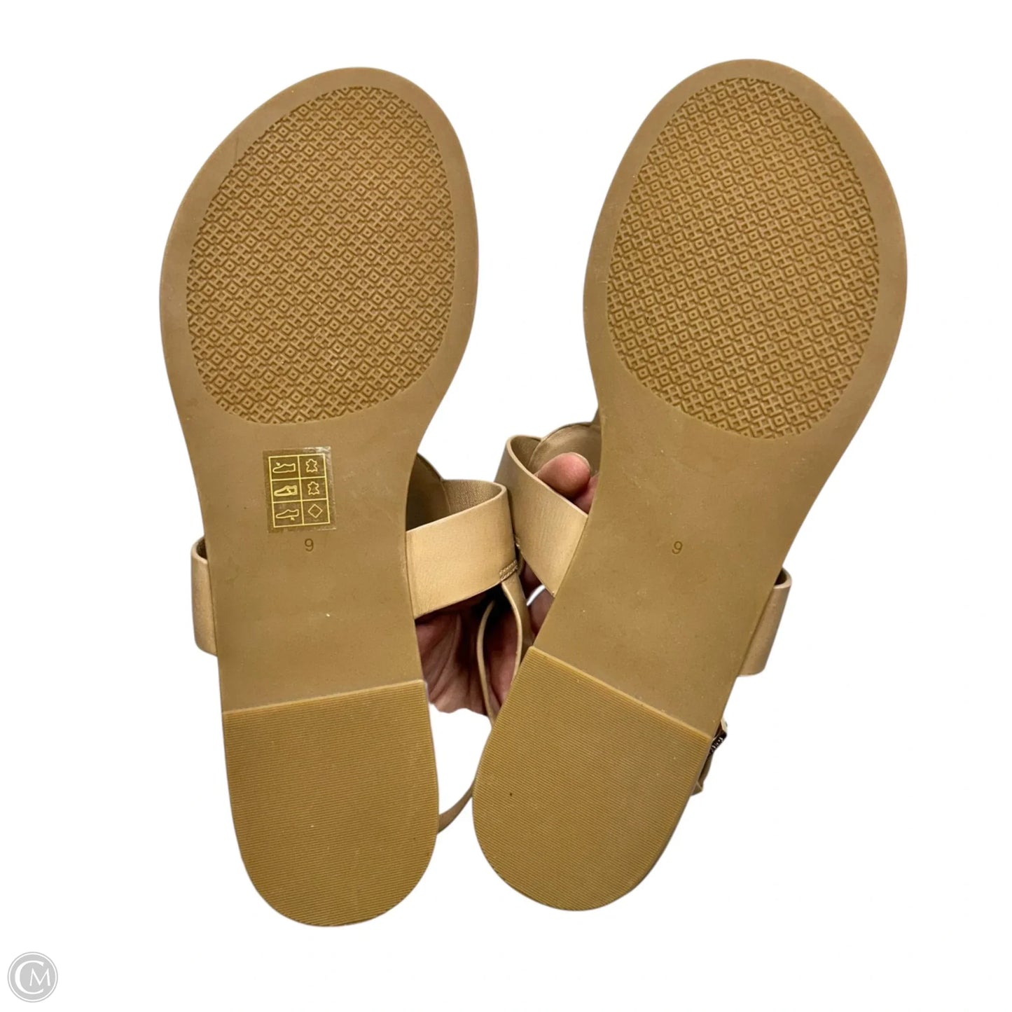 Sandals Designer By Tory Burch In Tan, Size: 9