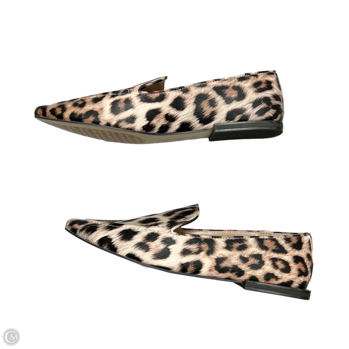Shoes Flats By Charles David In Leopard Print, Size: 7