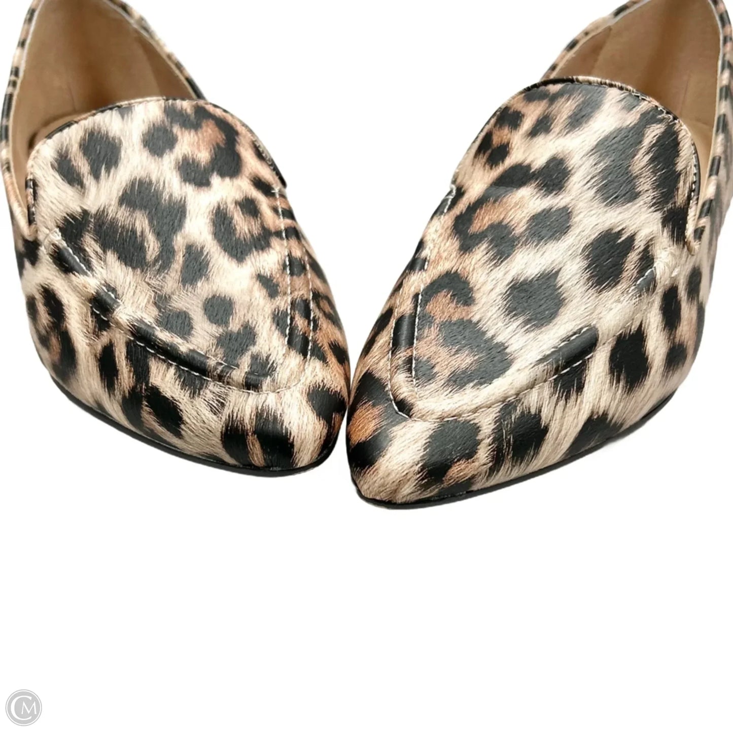 Shoes Flats By Charles David In Leopard Print, Size: 7