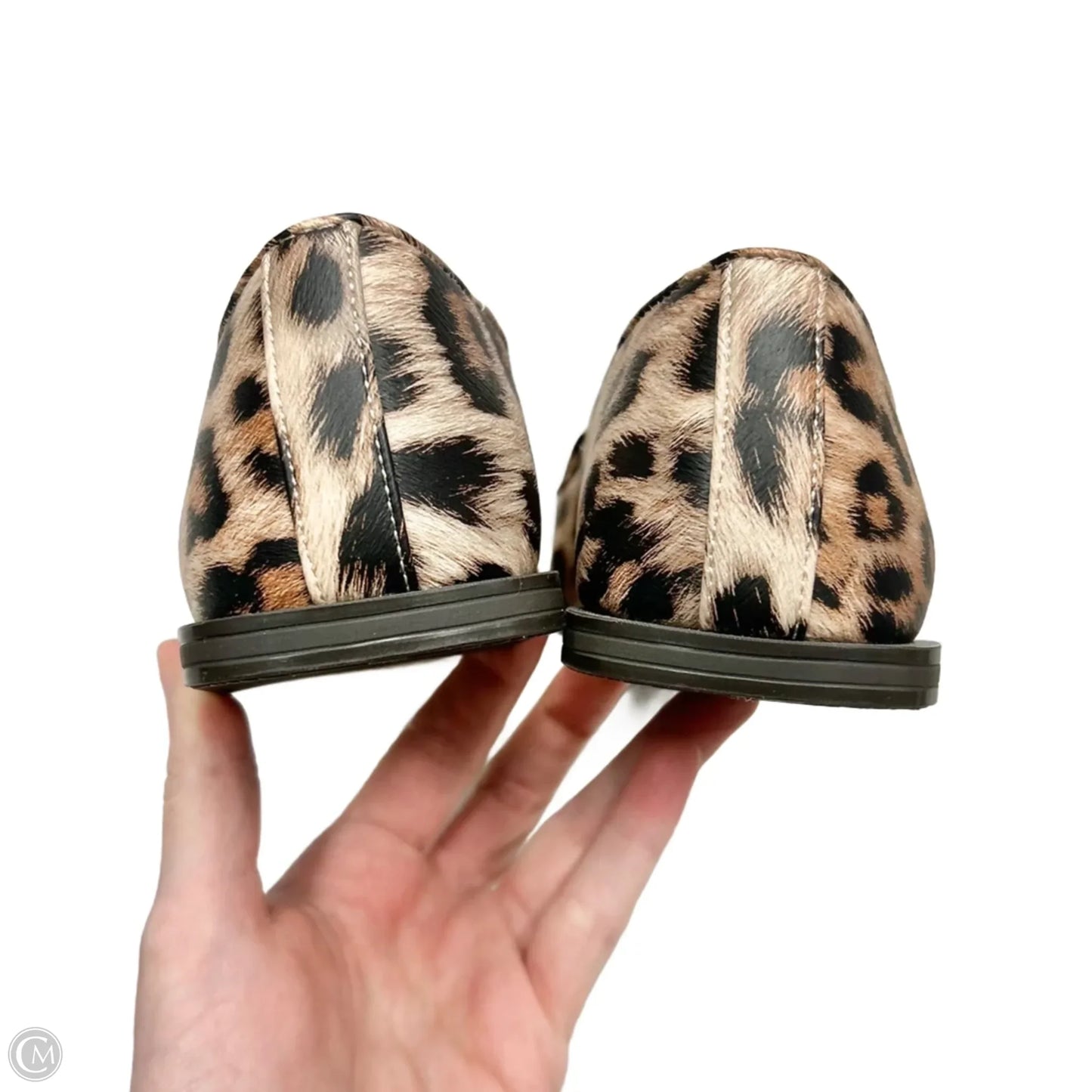 Shoes Flats By Charles David In Leopard Print, Size: 7