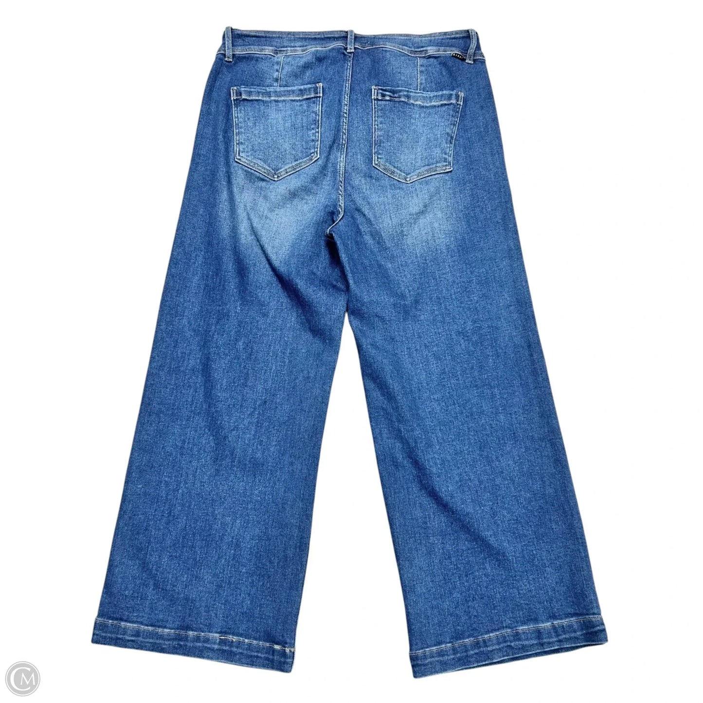 Jeans Straight By Risen In Blue Denim, Size: 2x