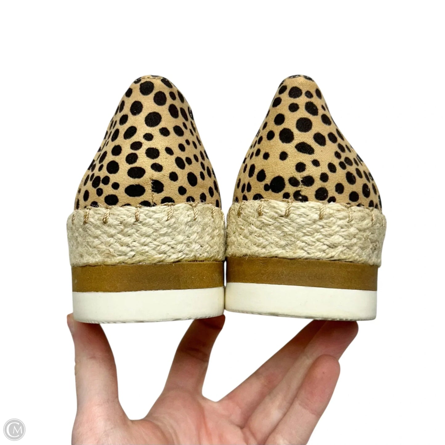 Shoes Heels Platform By Dr Scholls In Leopard Print, Size: 6