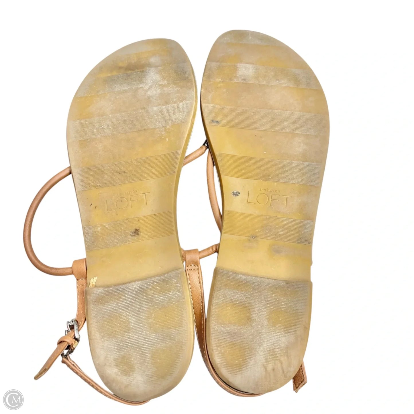 Sandals Flip Flops By Loft In Tan, Size: 9