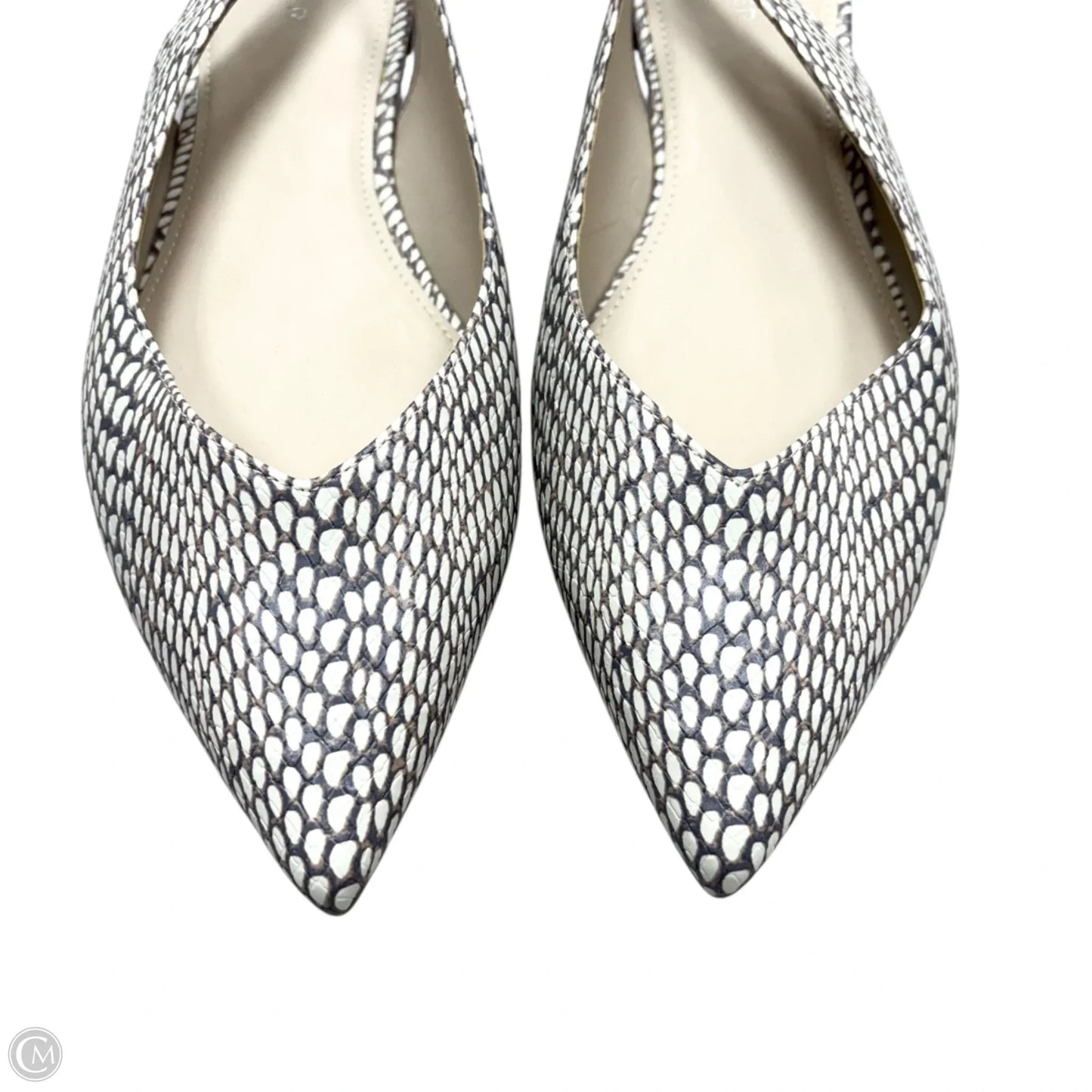Shoes Flats By Marc Fisher In Snakeskin Print, Size: 10