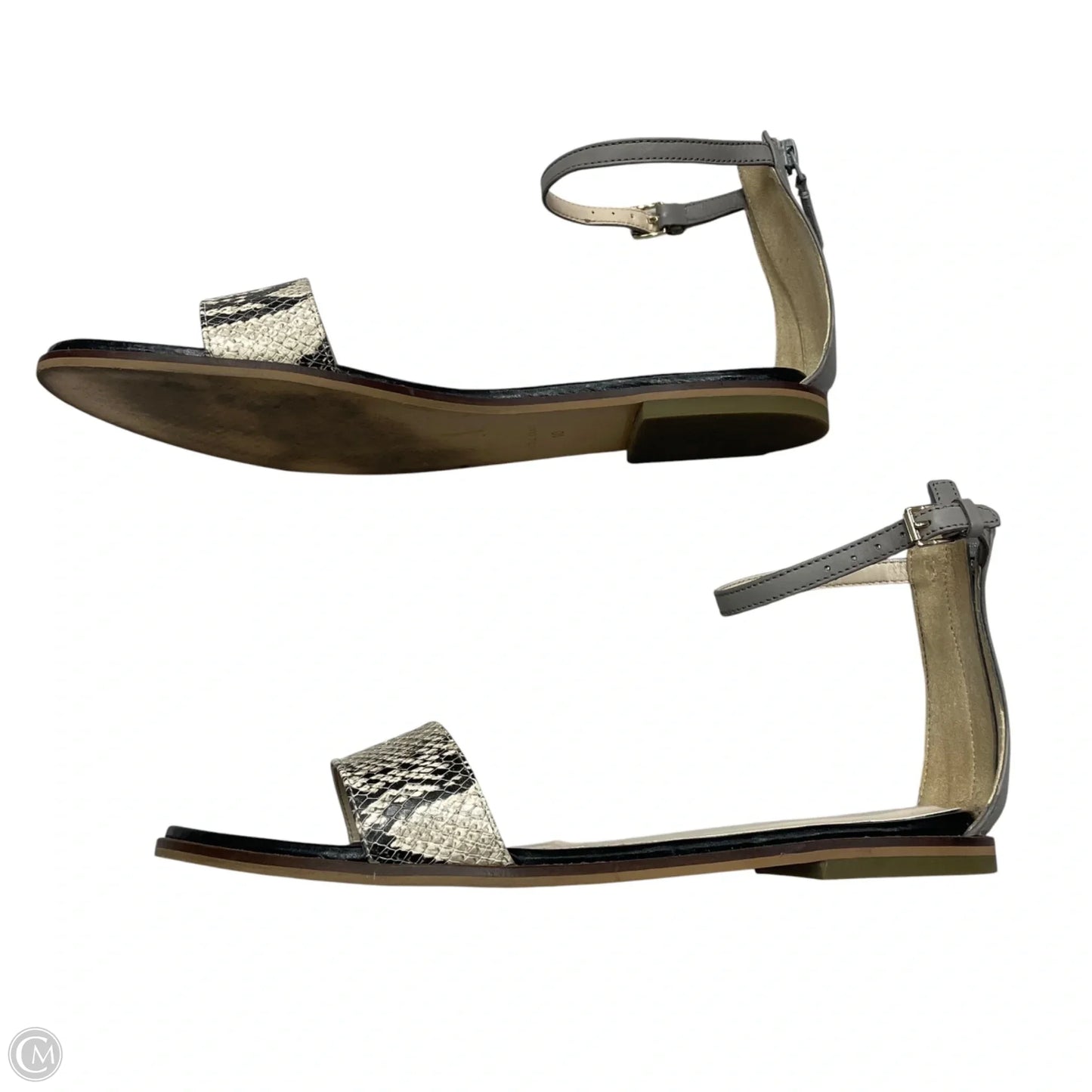 Sandals Flats By Cole-haan In Snakeskin Print, Size: 10