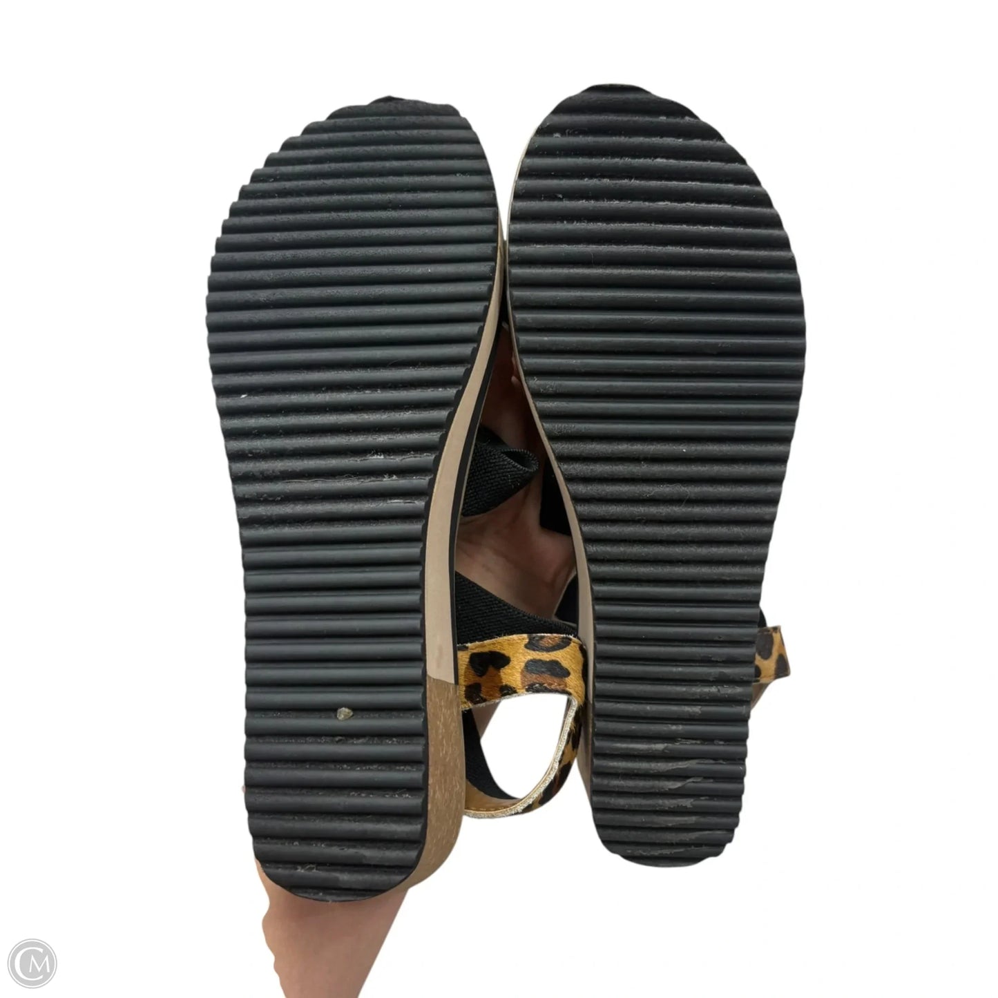 Sandals Heels Wedge By Yellow Box In Leopard Print, Size: 8.5