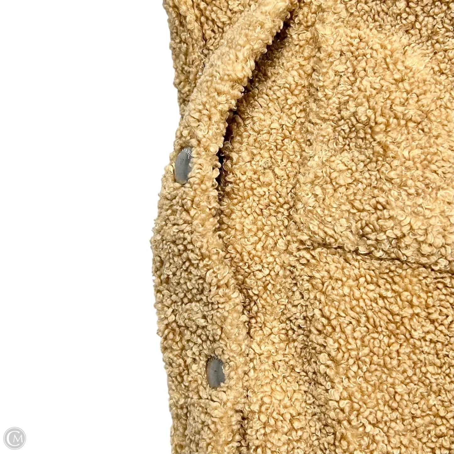 Coat Faux Fur & Sherpa By Blanknyc In Tan, Size: Xs