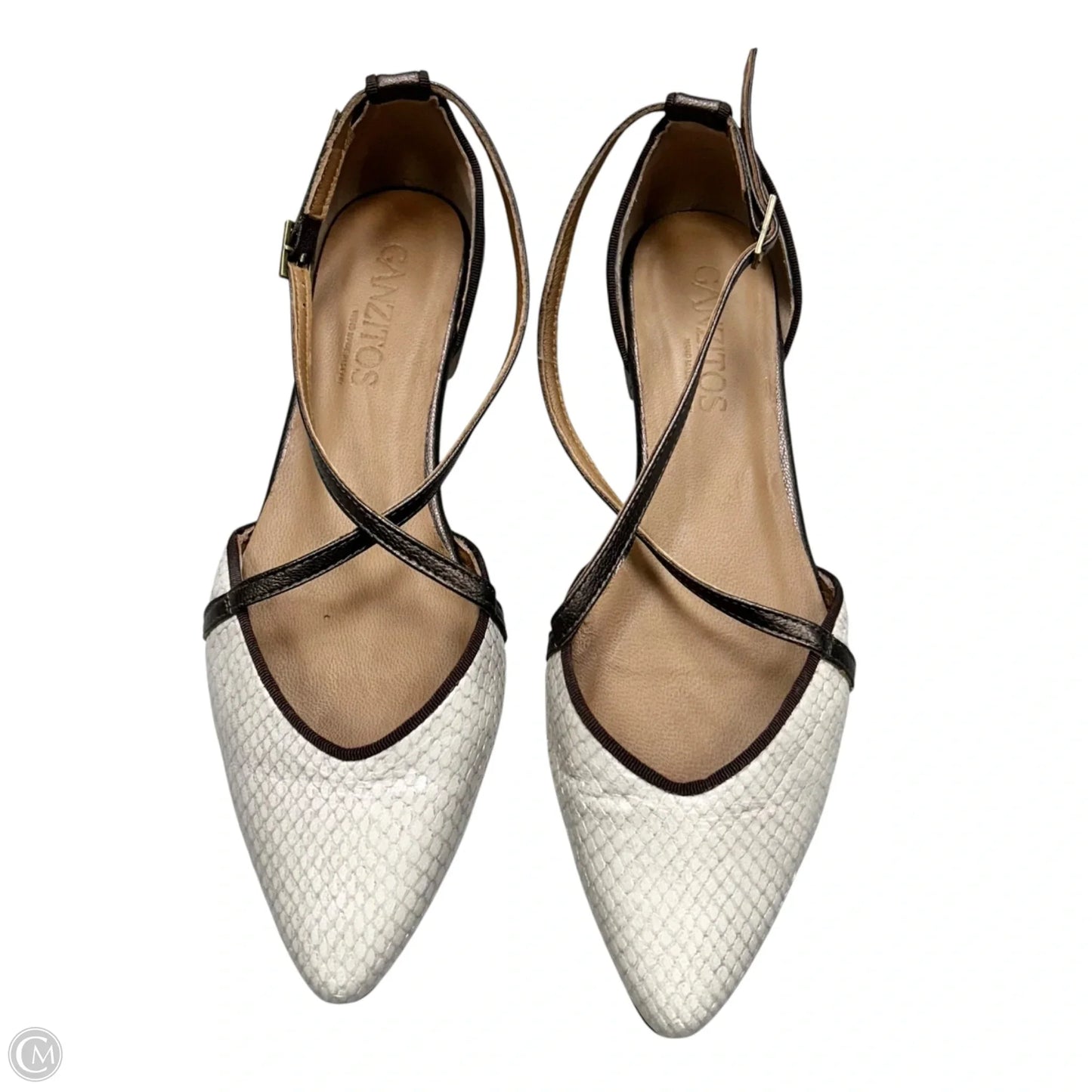 Shoes Flats By Ganzitos In Snakeskin Print, Size: 8.5