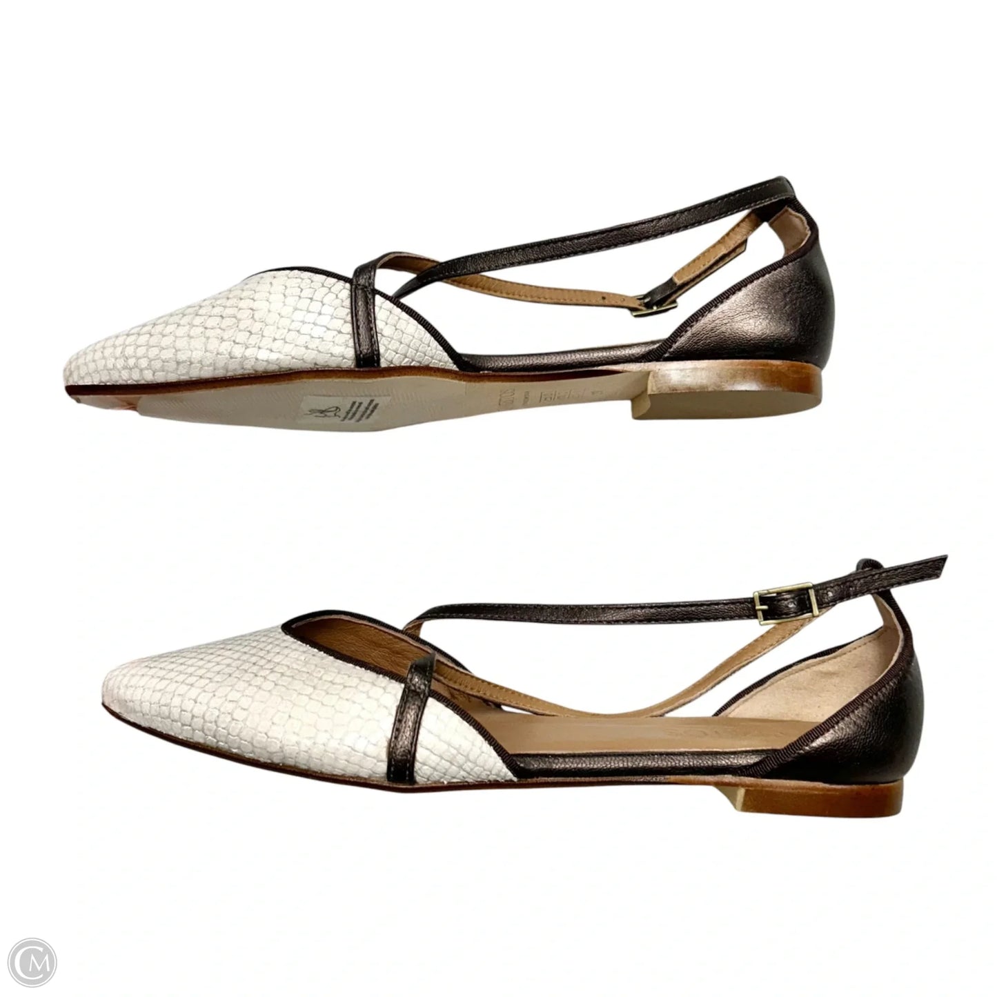Shoes Flats By Ganzitos In Snakeskin Print, Size: 8.5