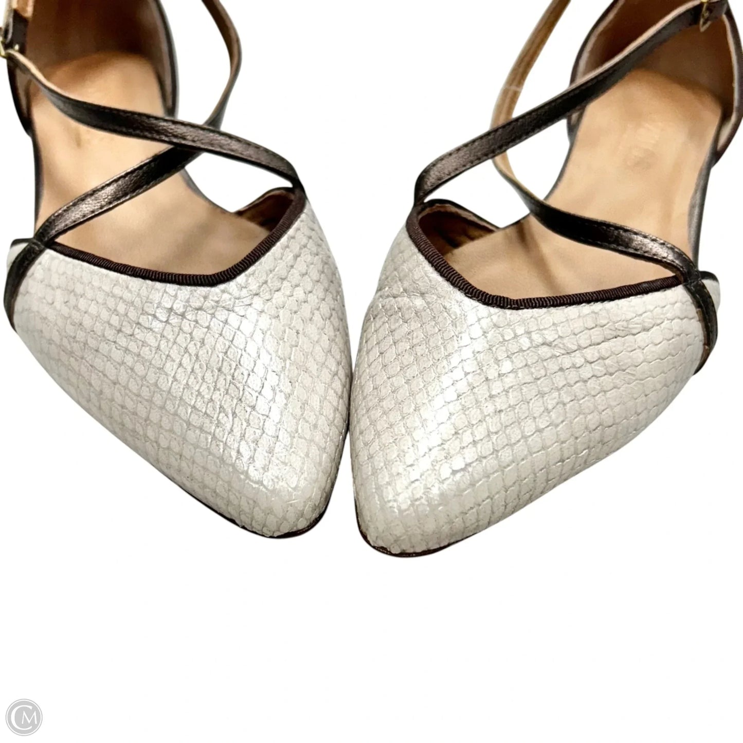Shoes Flats By Ganzitos In Snakeskin Print, Size: 8.5