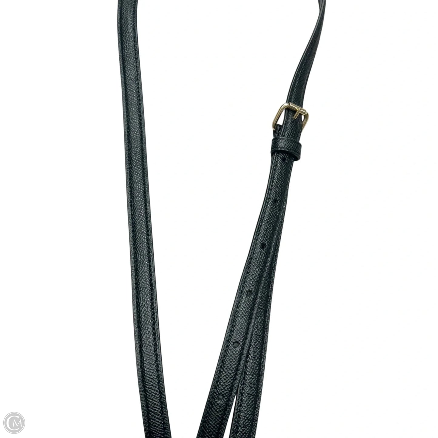 Crossbody Strap Designer By Coach