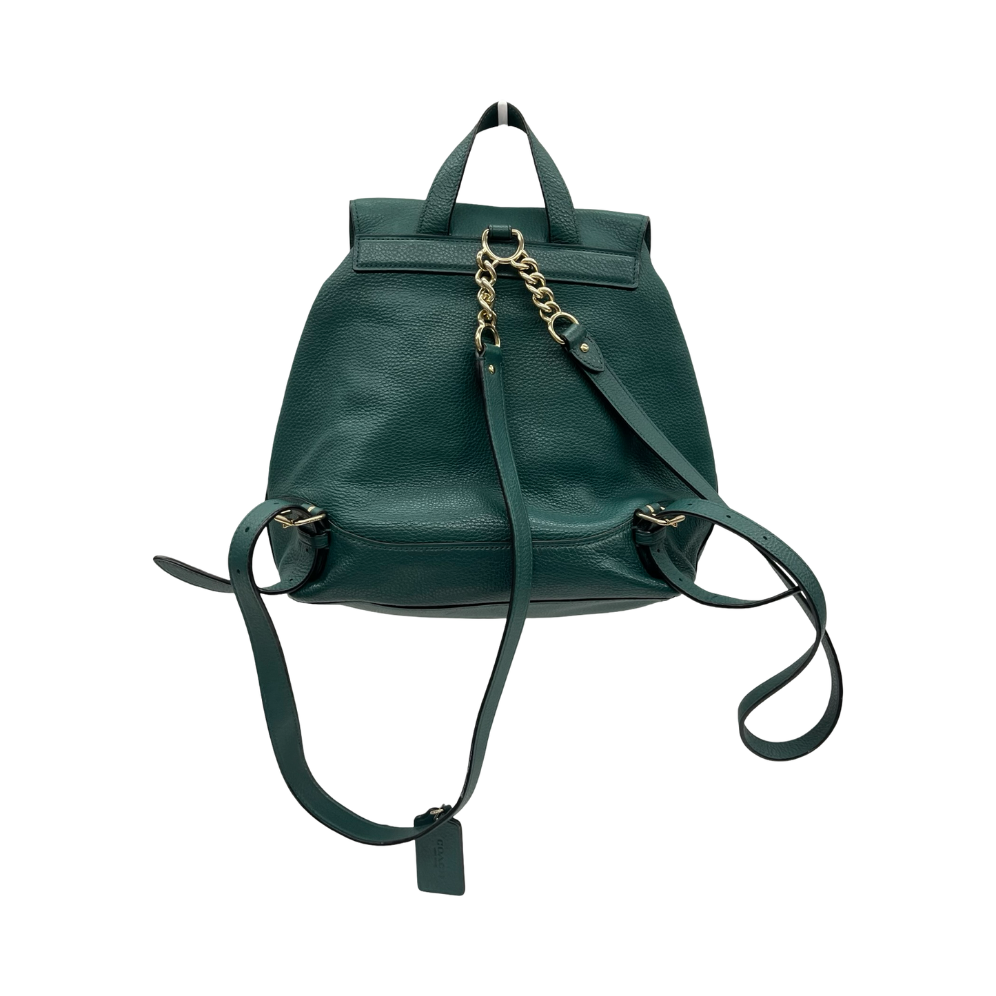 Backpack Designer By Coach In Green, Size:Medium