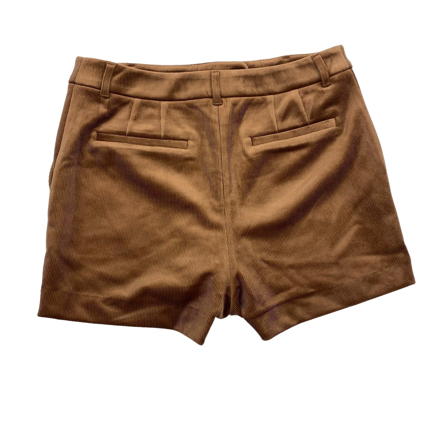 Brown Shorts Express, Size 10