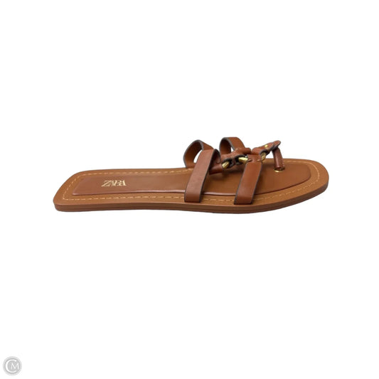 Sandals Flats By Zara In Brown, Size: 6.5