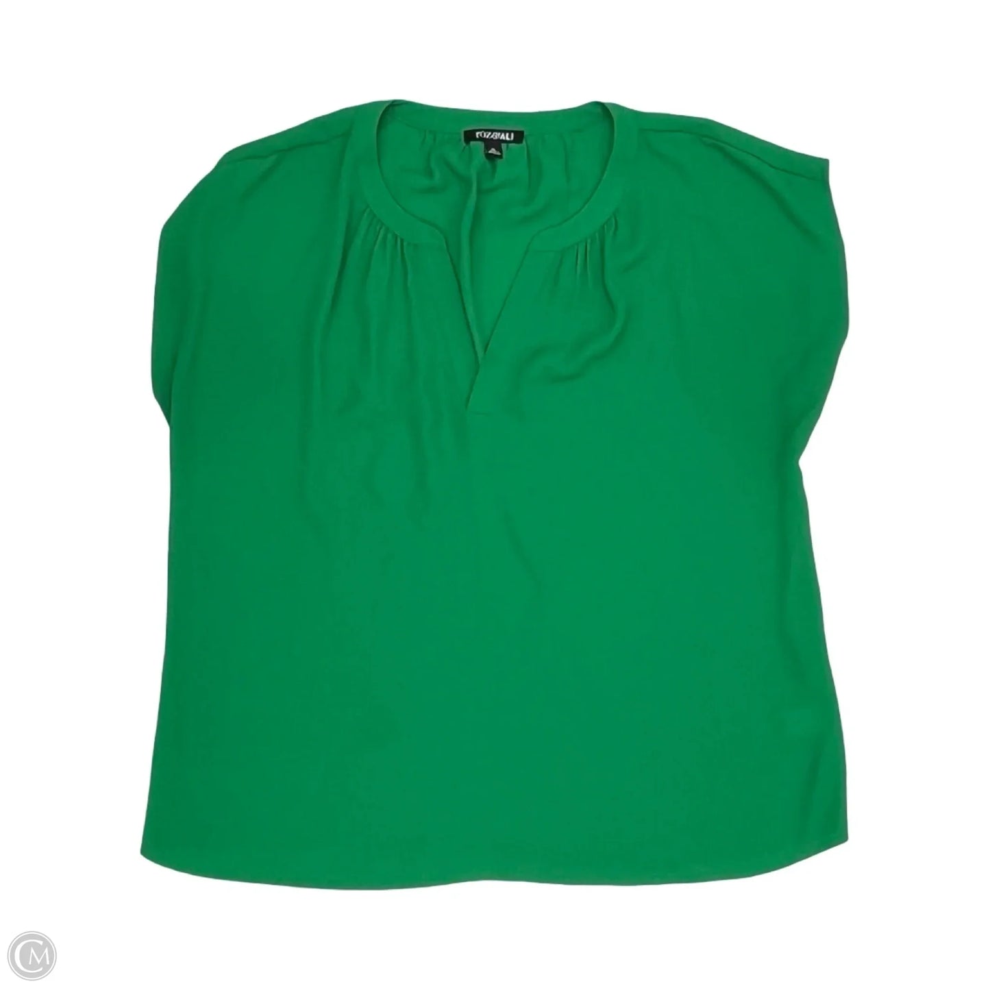 Blouse Short Sleeve By Roz And Ali In Green, Size: Xl