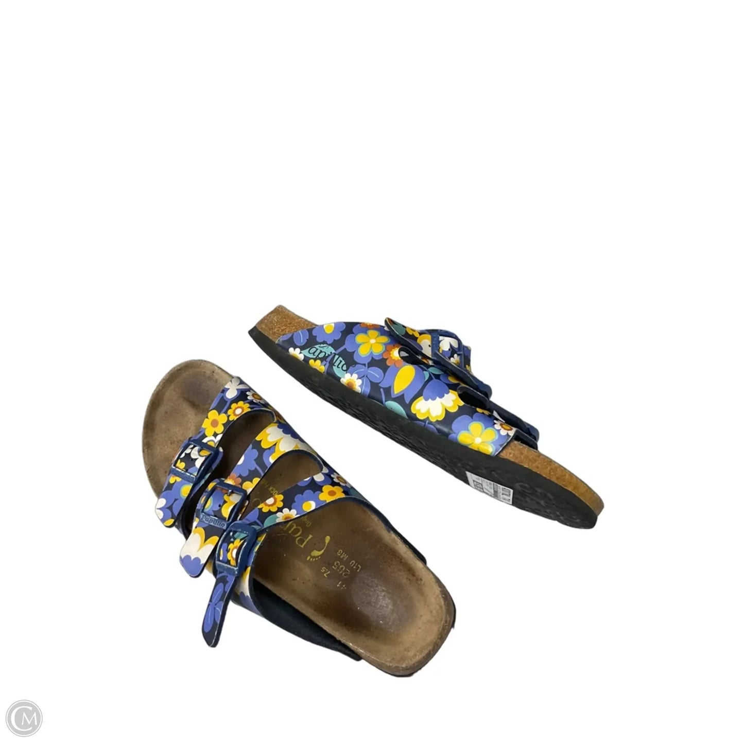 Sandals Flats By Birkenstock In Floral Print, Size: 10