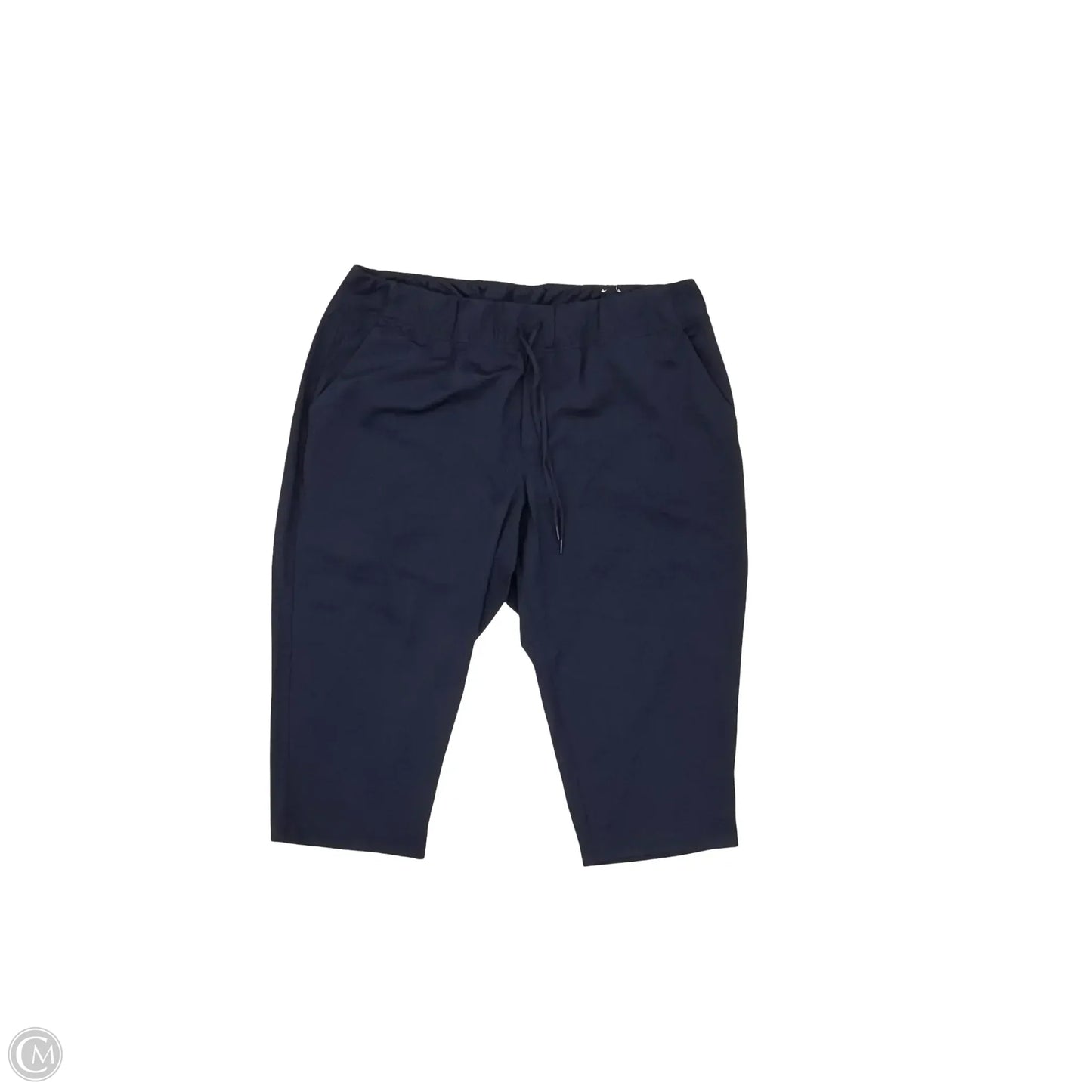 Athletic Pants By Livi Active In Navy, Size: 3x