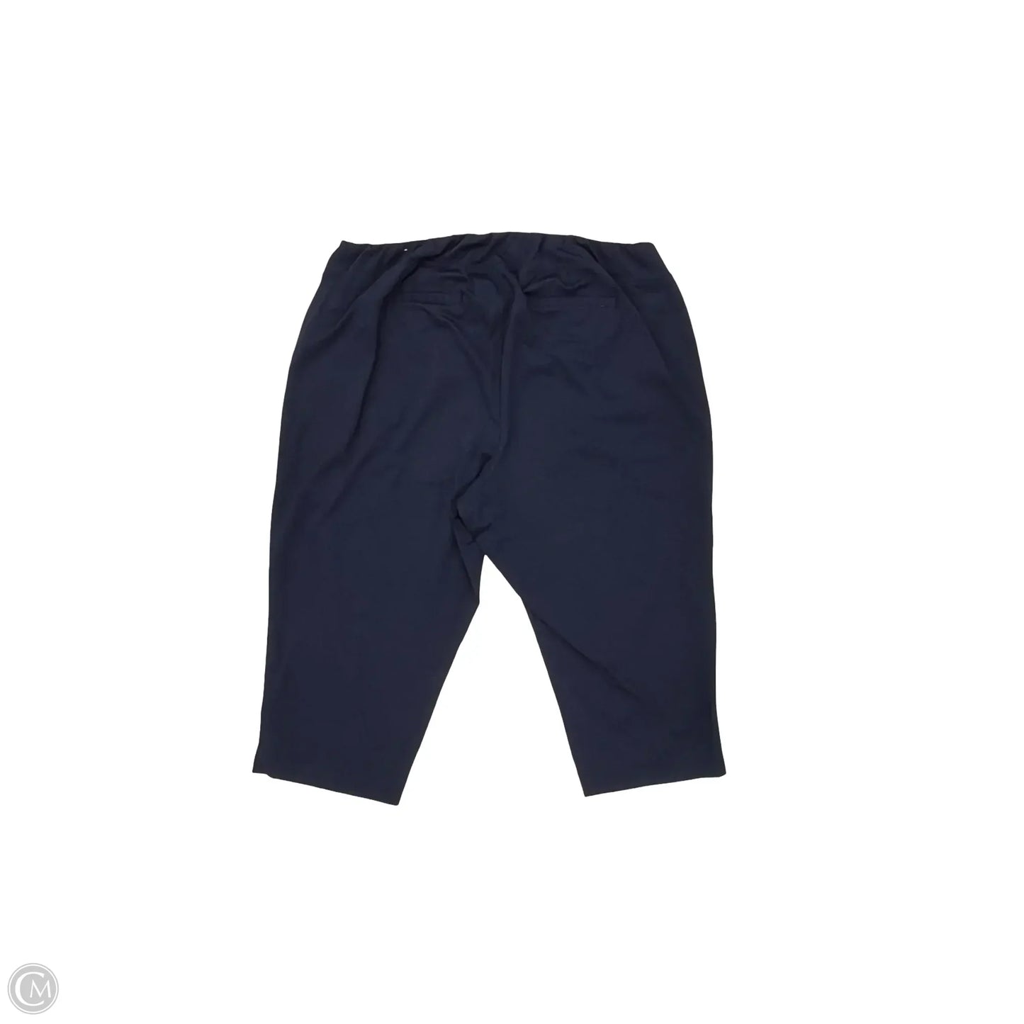 Athletic Pants By Livi Active In Navy, Size: 3x