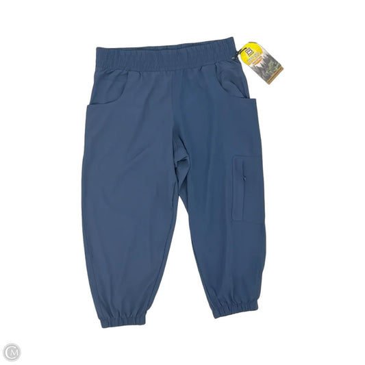 Athletic Pants By Avalanche In Blue, Size: M