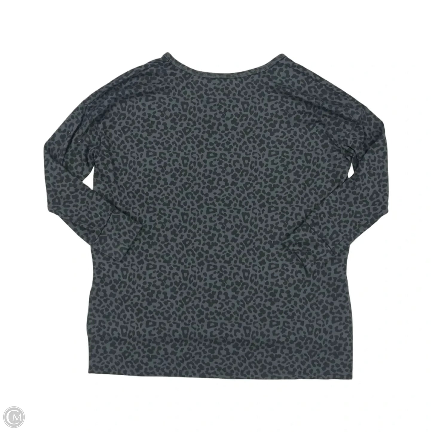 Top Long Sleeve By American Eagle In Leopard Print, Size: S