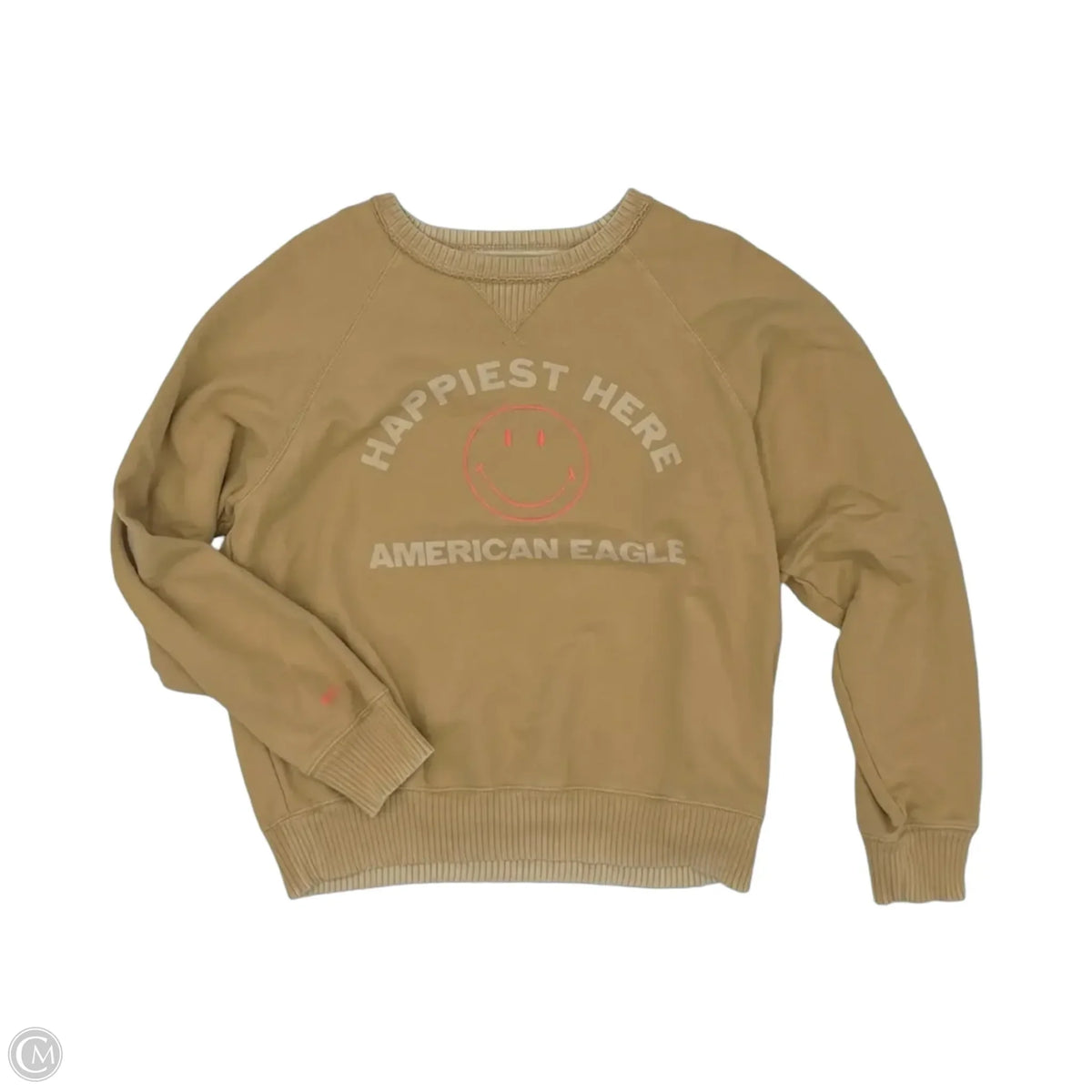 Sweatshirt Crewneck By American Eagle In Brown, Size: M