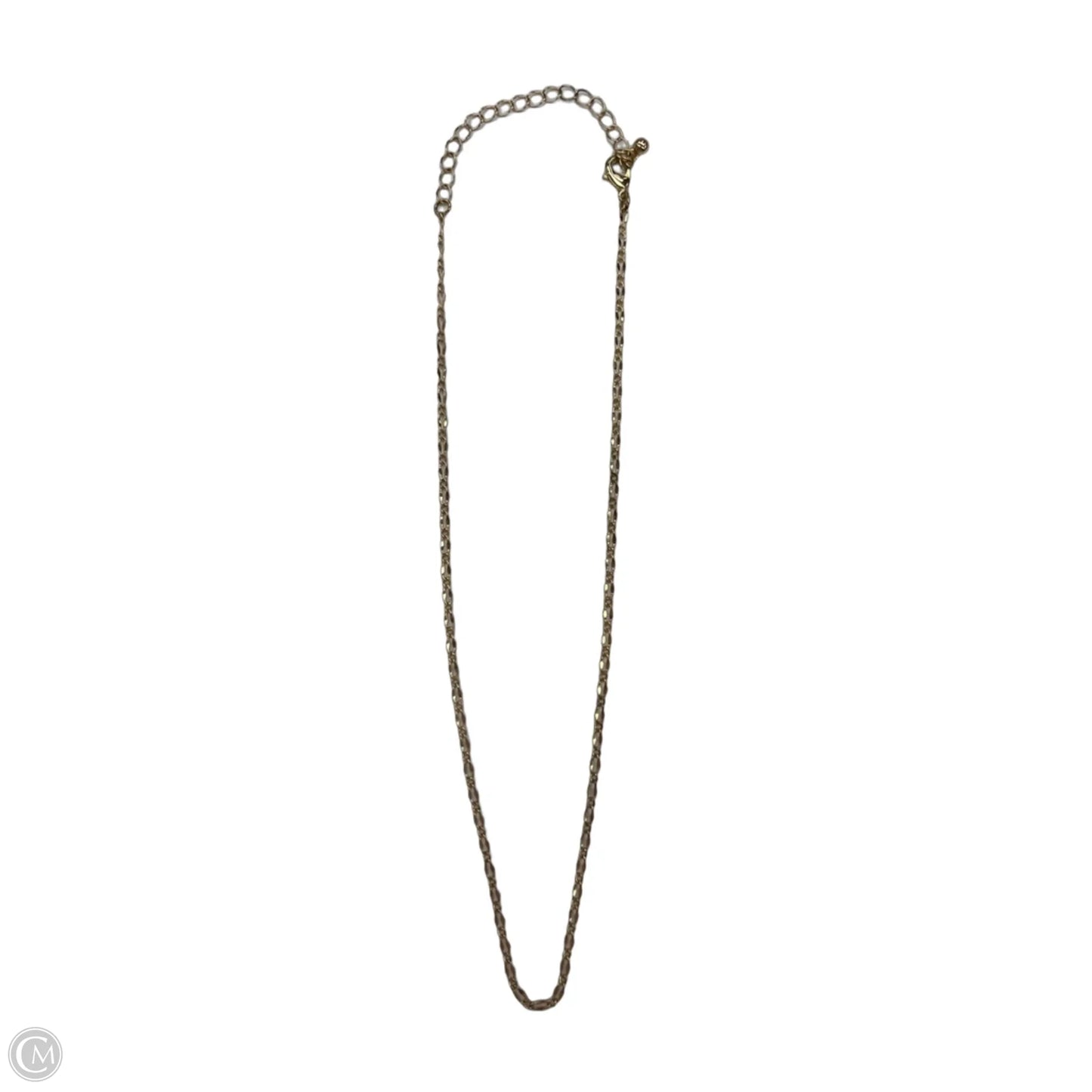 Necklace Chain By Clothes Mentor
