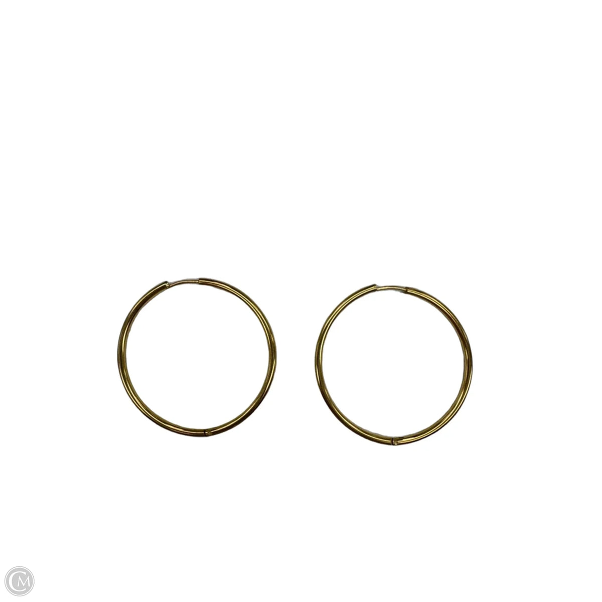 Earrings Hoop By Clothes Mentor