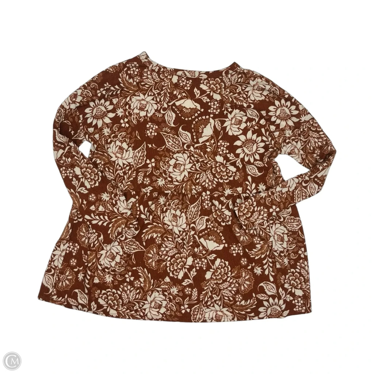 Top Long Sleeve By Bibi In Brown & Cream, Size: L