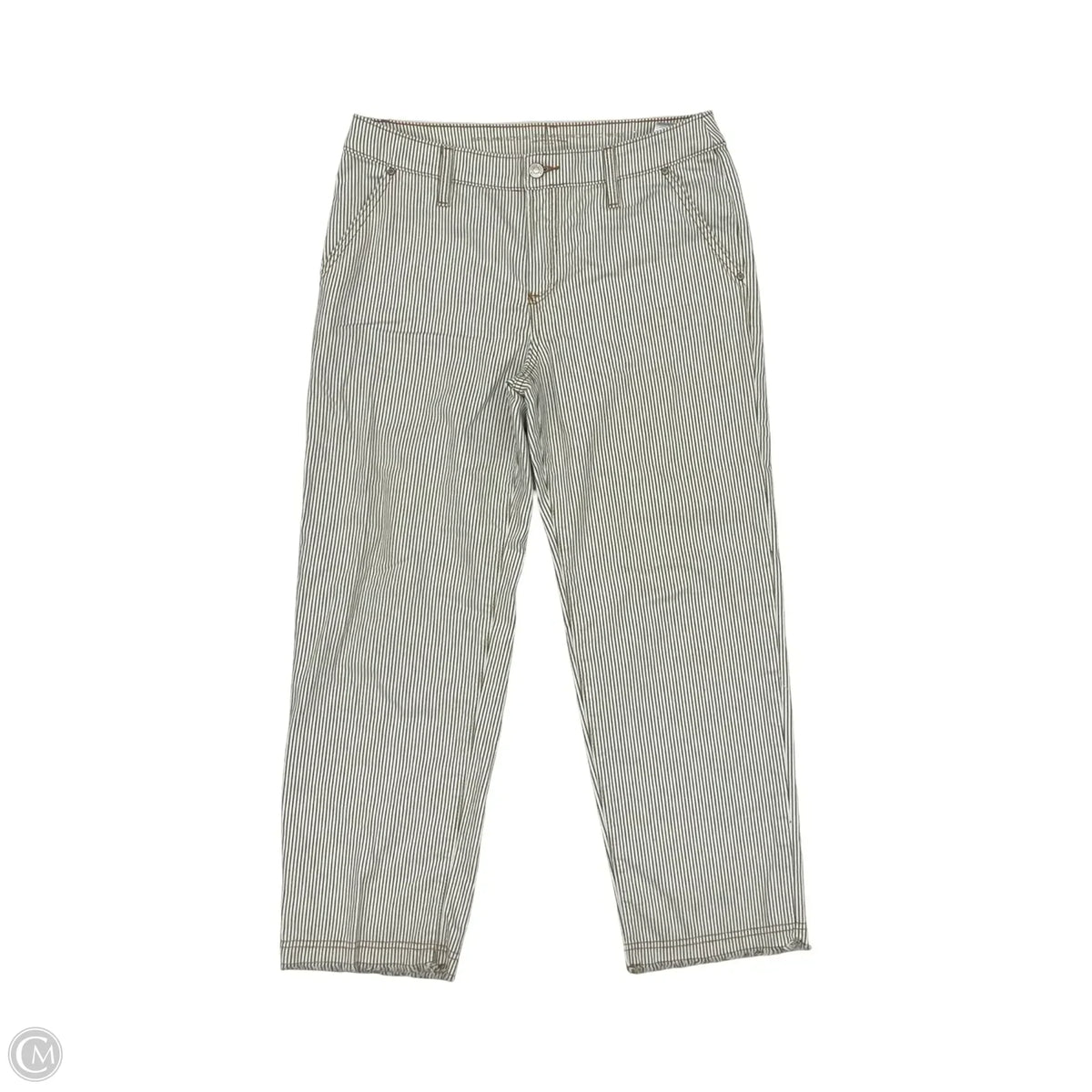 Pants Other By Chicos In Striped Pattern, Size: 8