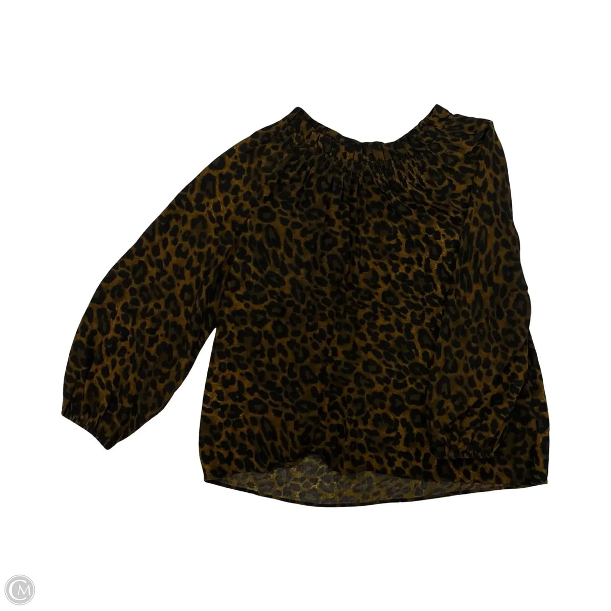 Blouse Long Sleeve By Talbots In Leopard Print, Size: Lp