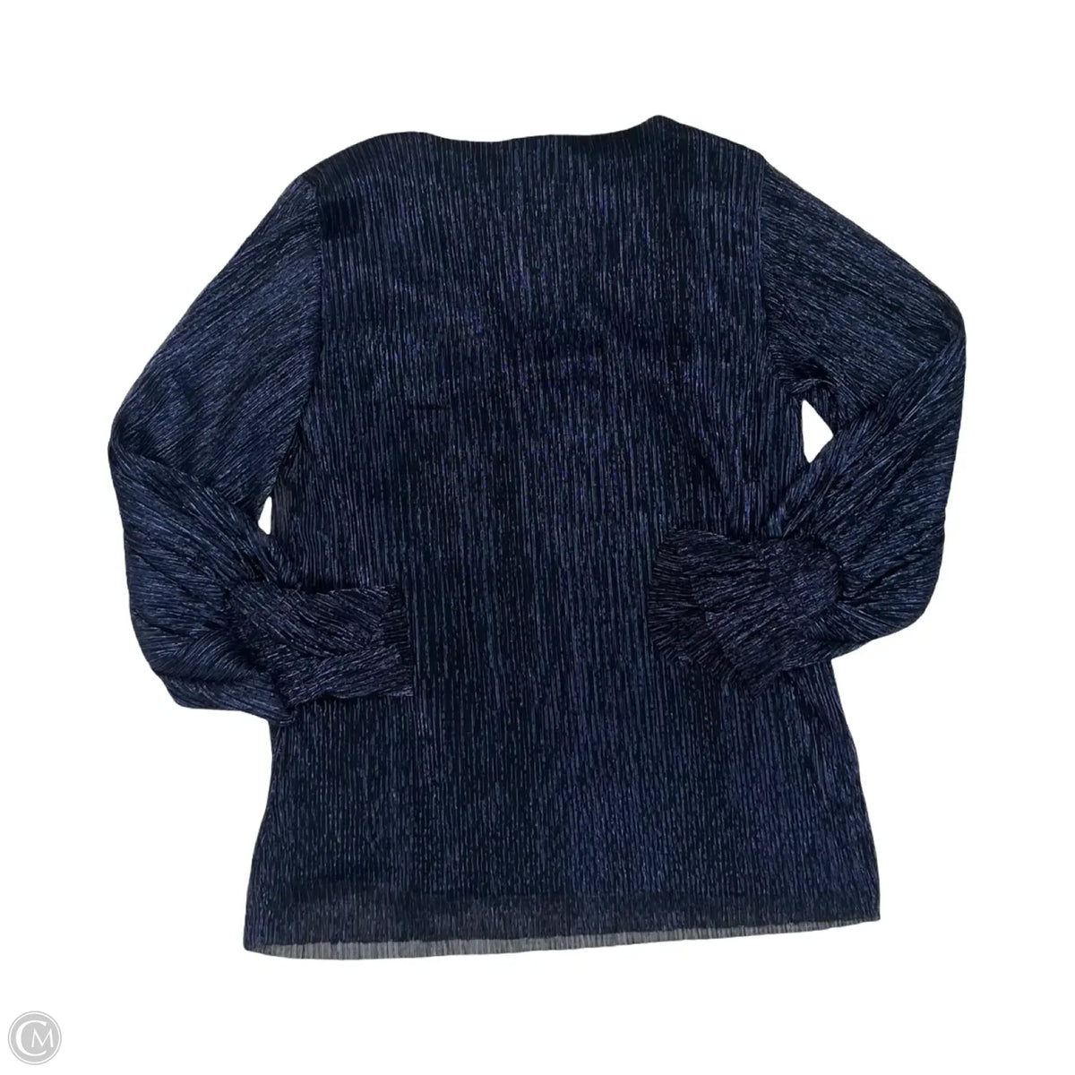 Blouse Long Sleeve By Cece In Blue, Size: S