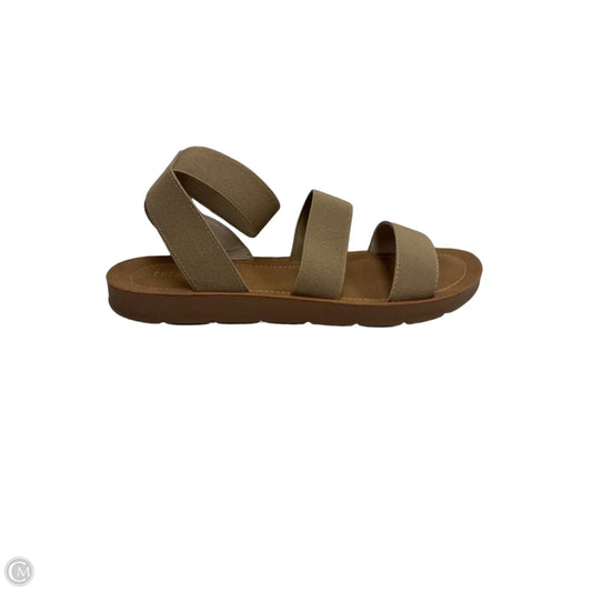 Sandals Flats By Cushionaire In Brown, Size: 10