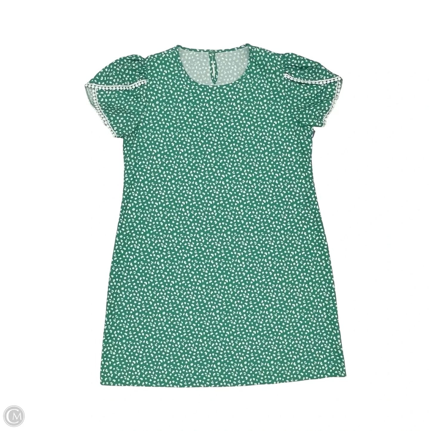 Dress Casual Short By Clothes Mentor In Green & White, Size: Xl