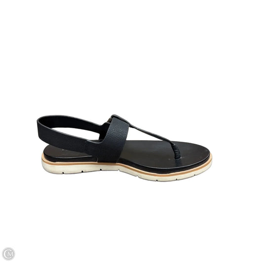 Sandals Flip Flops By Kelly And Katie In Black, Size: 8