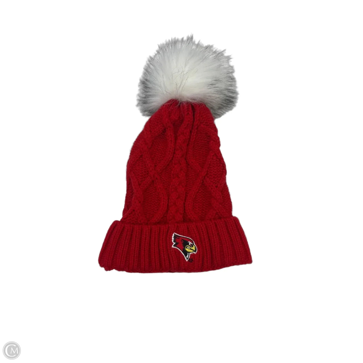 Hat Beanie By Clothes Mentor