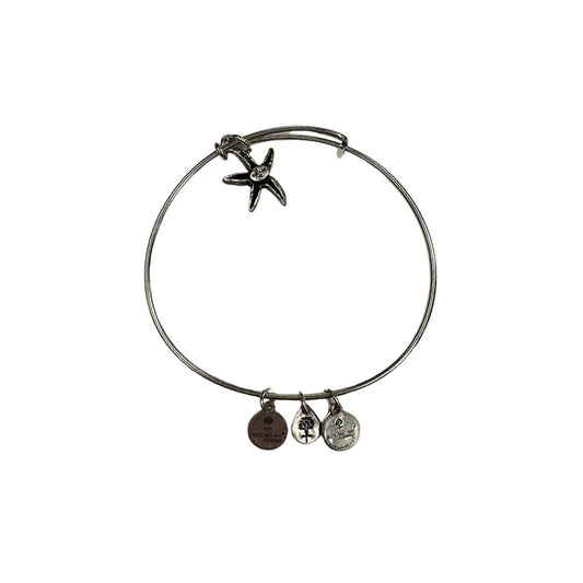 Bracelet Charm By Alex And Ani