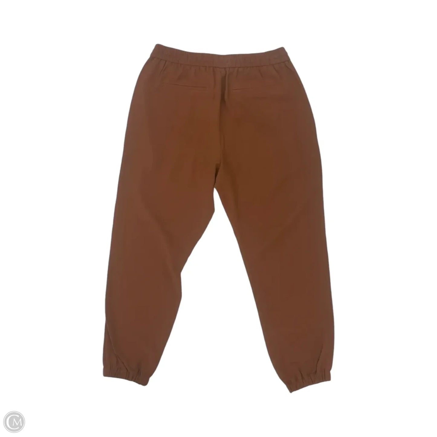 Pants Joggers By Express In Brown, Size: M