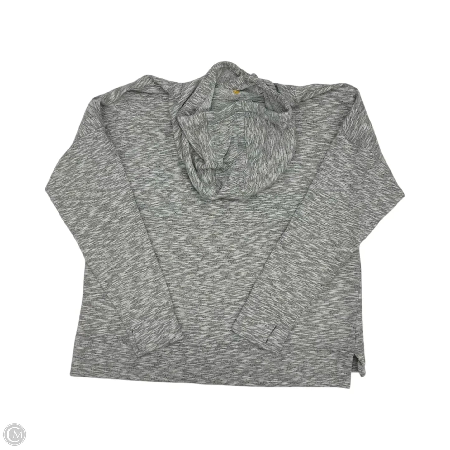 Sweatshirt Hoodie By Carhartt In Grey, Size: L
